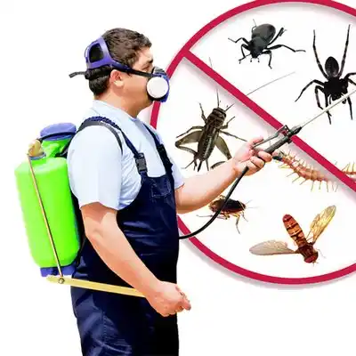 pest control Cedar Glen West